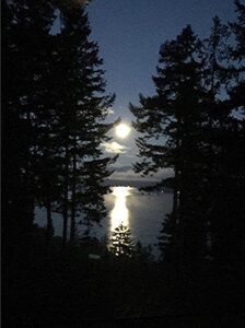 Moonlight over Hood Canal Hood