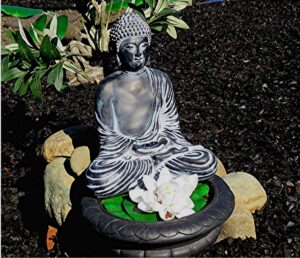 The Buddha in deeply quieted mind