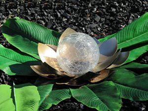 translucent globe sitting on broad leaves