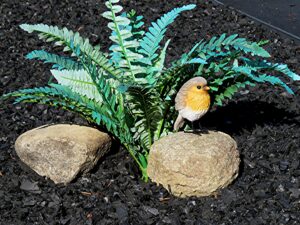 small bird on rock with ferms