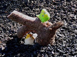 2 bird figurines perched on and under piece of tree branch