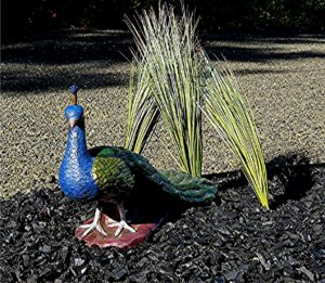 colorful peacock figurine