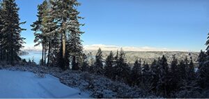 panoramic view of snow covered trees and mountains
