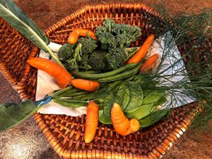 PHOTO OF BASKET OF VEGETABLES FROM gARDEN